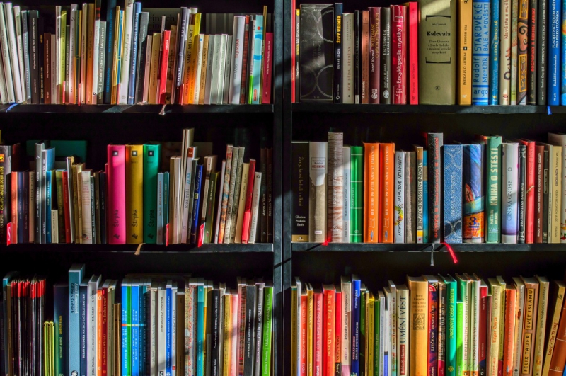 vente-LES FERRES-min_books_bookstore_book_reading_shop_writer_sale_books_read-822866